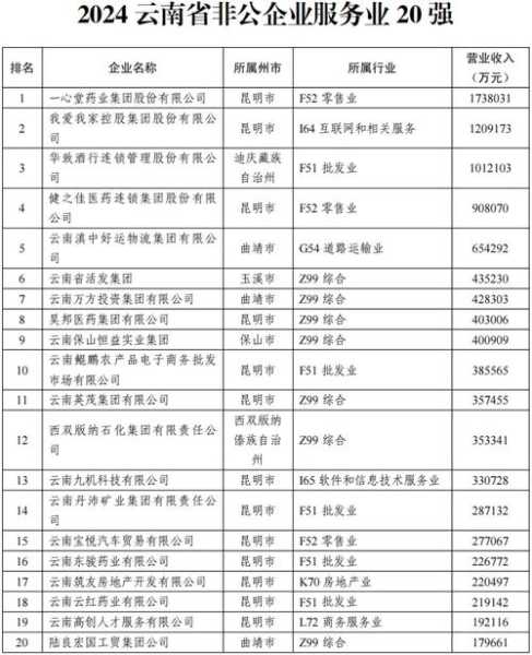 云南排名前十企业名单