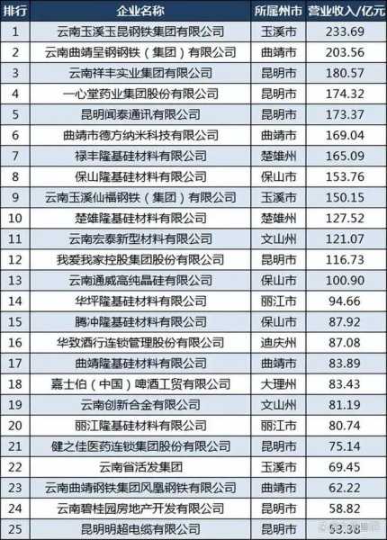 云南排名前十企业名单